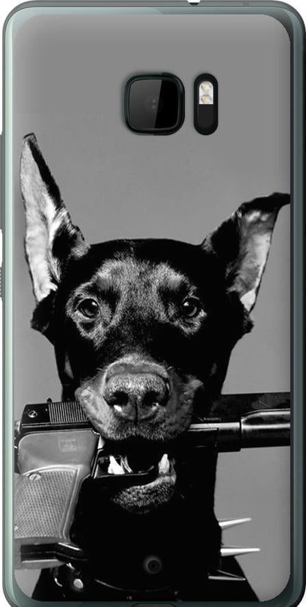 Чехол на HTC U Ultra Доберман (2745u-833-42517) Чехол на HTC U Ultra Доберман (2745u-833-42517)