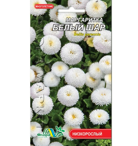 Насіння Маргаритки Біла куля багаторічник низькорослий 0,03 г (26097) Насіння Маргаритки Біла куля багаторічник низькорослий 0,03 г (26097)