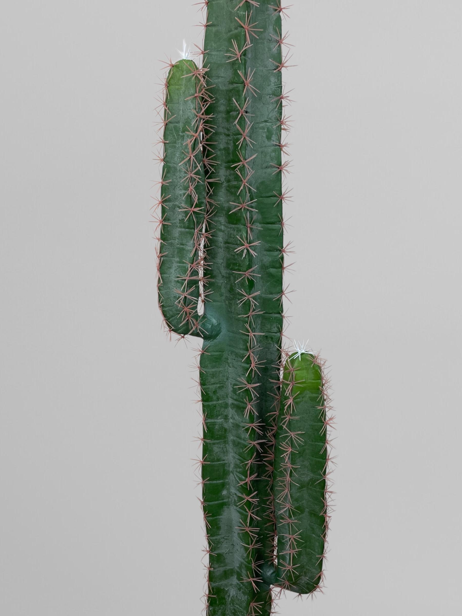 Искусственный кактус 150 см Зеленый (Р06002) - фото 3 Искусственный кактус 150 см Зеленый (Р06002) - фото 3