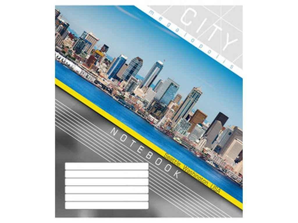 Тетрадь в клеточку Мечты сбываются 36 л. 16 шт. 3448к Мегаполис (1067334)