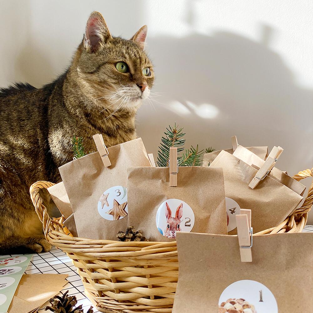 Адвент-календарь новогодний с заданиями на 31 день 9-14 лет (ADV_NG_3) - фото 5 Адвент-календарь новогодний с заданиями на 31 день 9-14 лет (ADV_NG_3) - фото 5