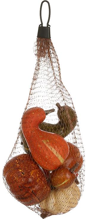 Набор тыквы в сетке в нейлоновой сетке 6 шт. (А408)