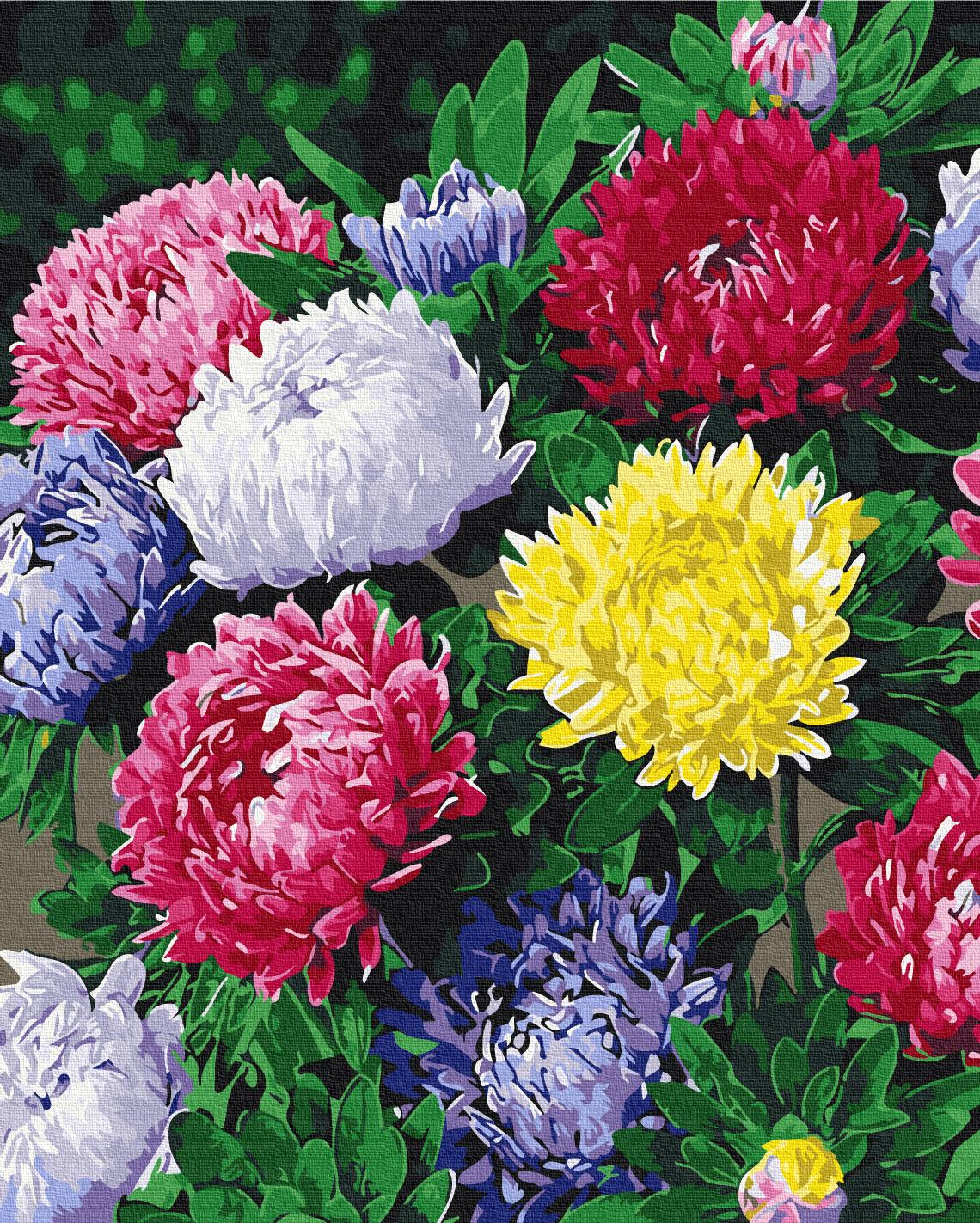 Картина за номерами Brushme Різнокольорові айстри 40x50 см (BS54120) Картина за номерами Brushme Різнокольорові айстри 40x50 см (BS54120)