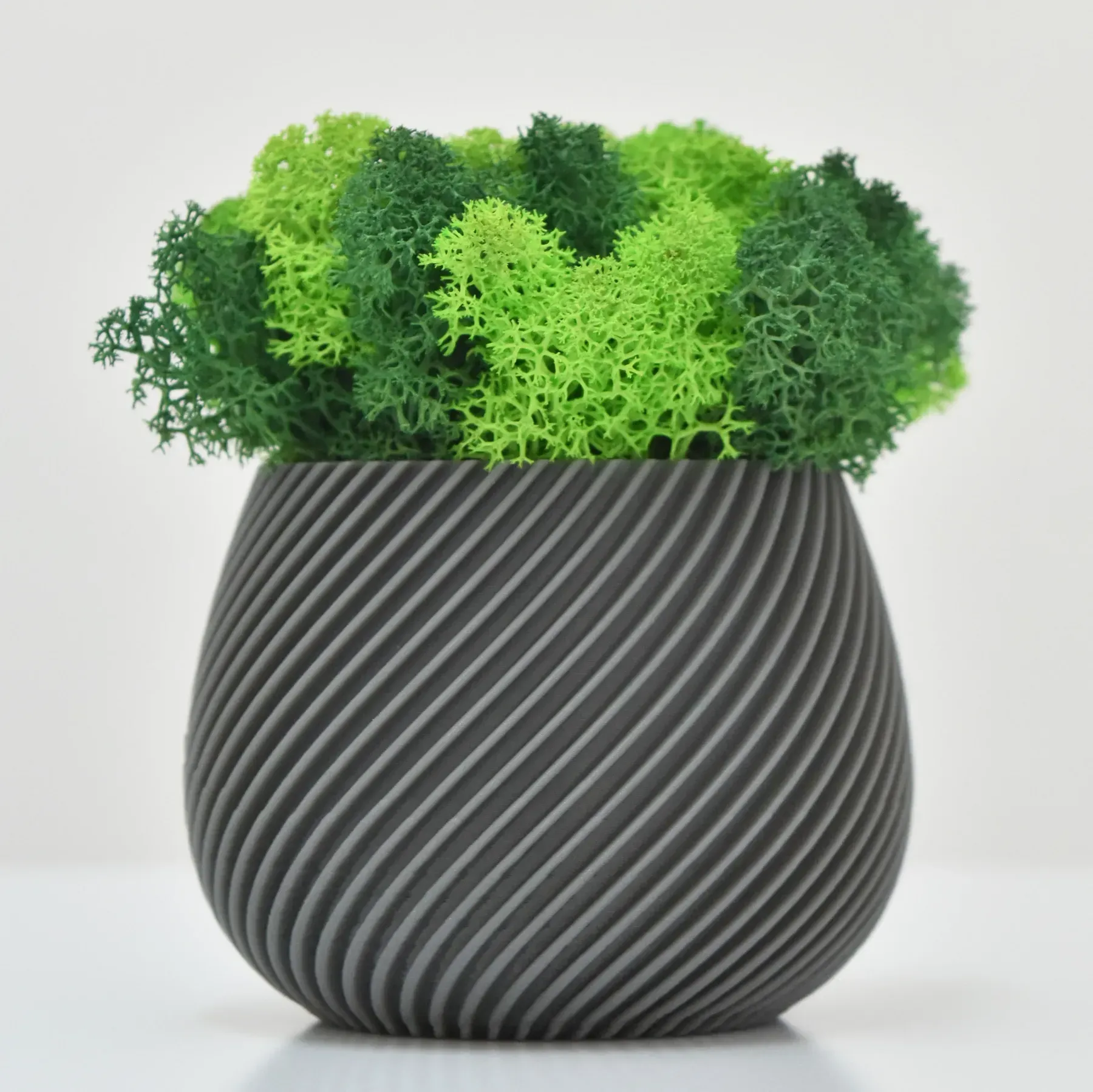 Кашпо спиральное со стабилизированным мхом Серый/Зеленый/Салатовый (KM-S-6)