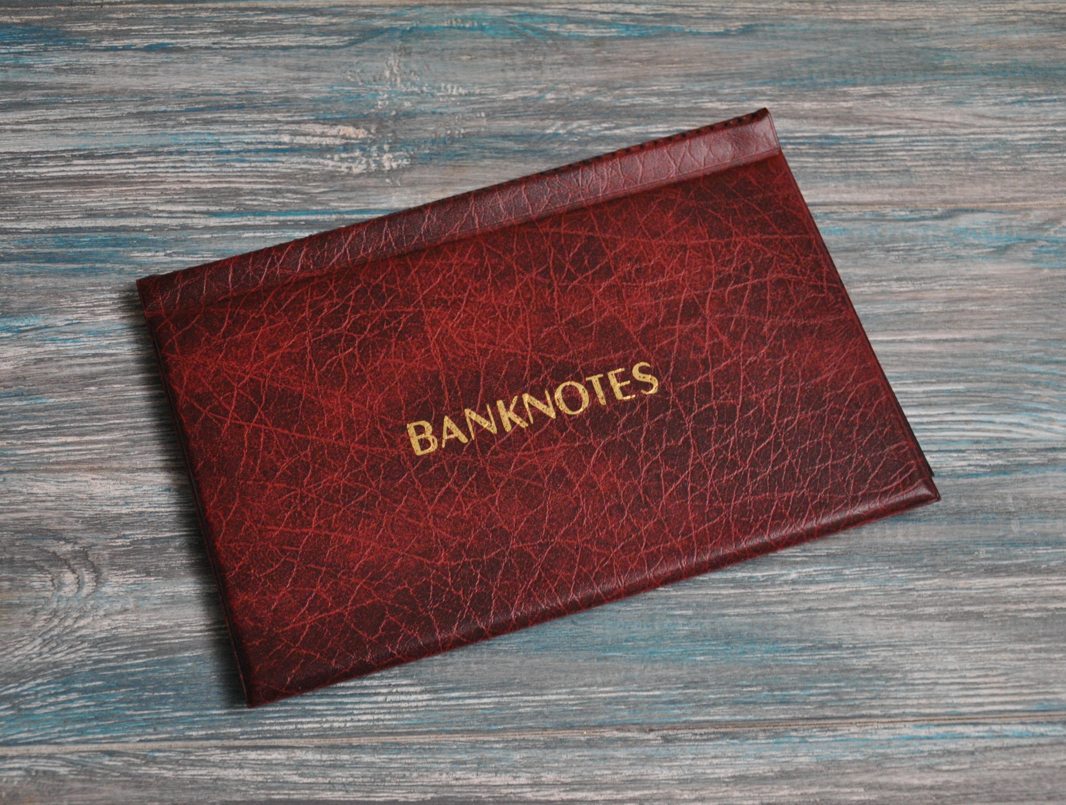 Альбом для банкнот кишеньковий BANKNOTES XXL 20 л 215х145 мм (ABPL-XXL)