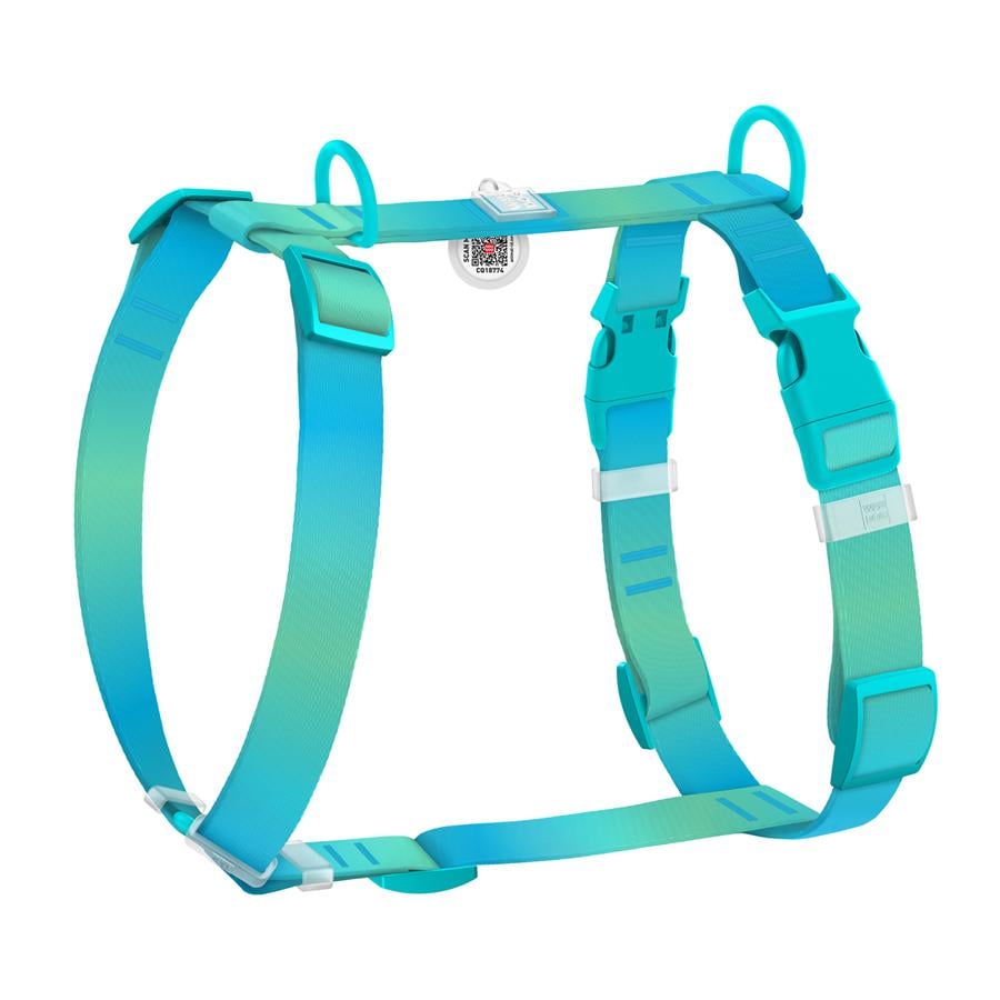 Шлейка для собак с QR-паспортом WAUDOG Nylon Recycled Градиент пластиковый фастекс S 15 мм A 30-45 см/B 35-45 см Blue (47512) Шлейка для собак с QR-паспортом WAUDOG Nylon Recycled Градиент пластиковый фастекс S 15 мм A 30-45 см/B 35-45 см Blue (47512)