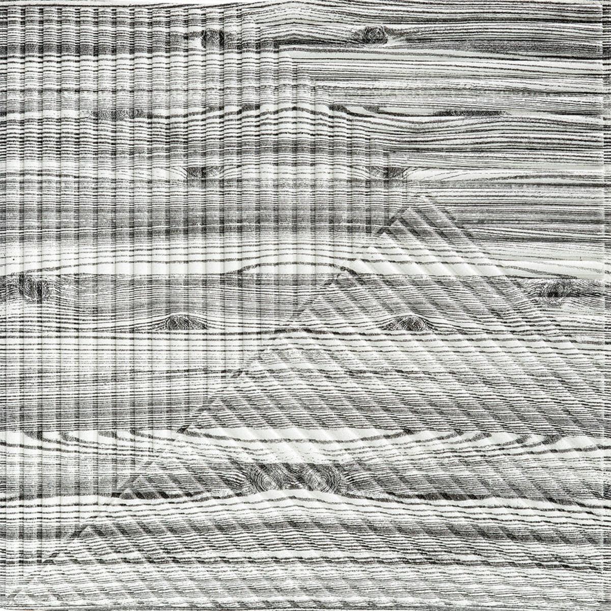 Панель самоклеящаяся декоративная 3D Бамбук Дерево Зебра 500х500х5 мм (SW-00002884)