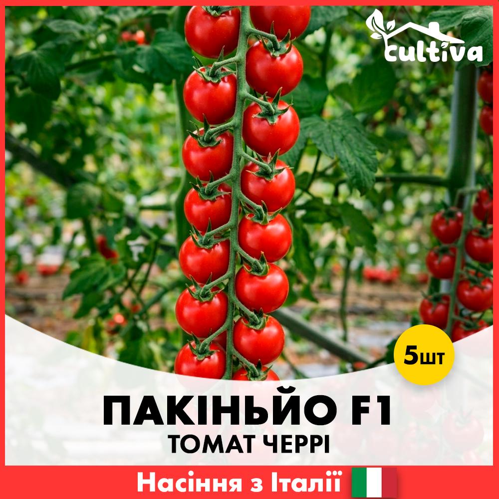 Семена томата Пакиньо F1 1000 нас. Esasem (R51560_1000)