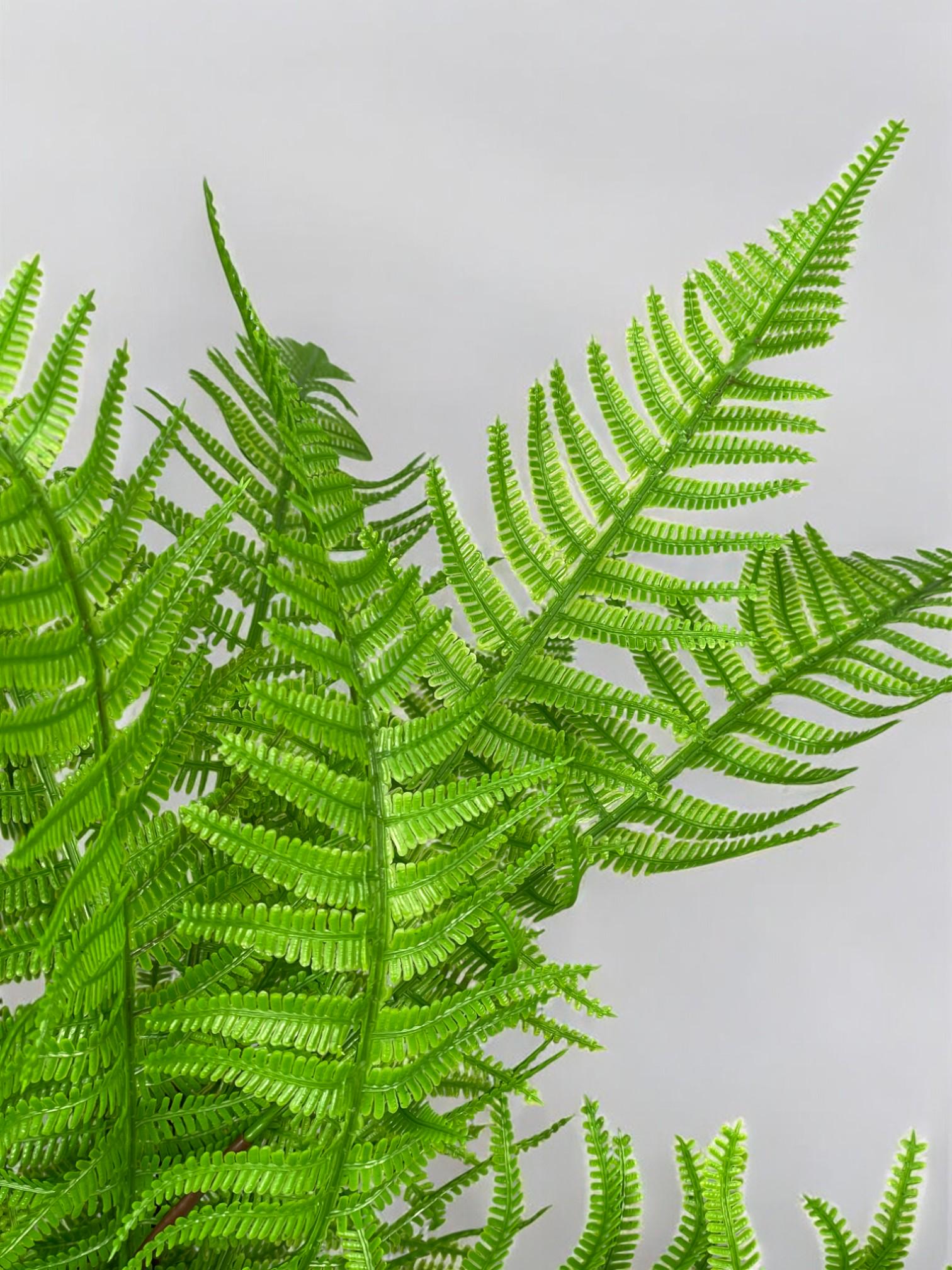 Композиция из искусственного папоротника в белом керамическом горшке Зеленый (А201) - фото 4 Композиция из искусственного папоротника в белом керамическом горшке Зеленый (А201) - фото 4