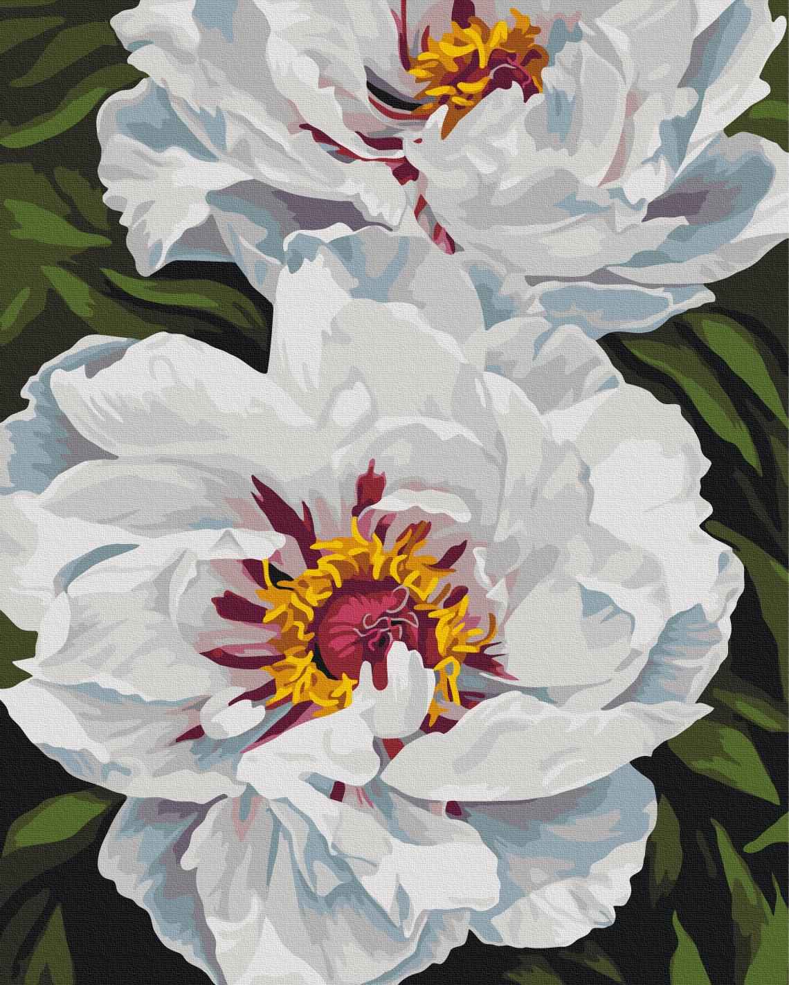 Картина по номерам Brushme Белое сияние 40x50 см (BS54477)