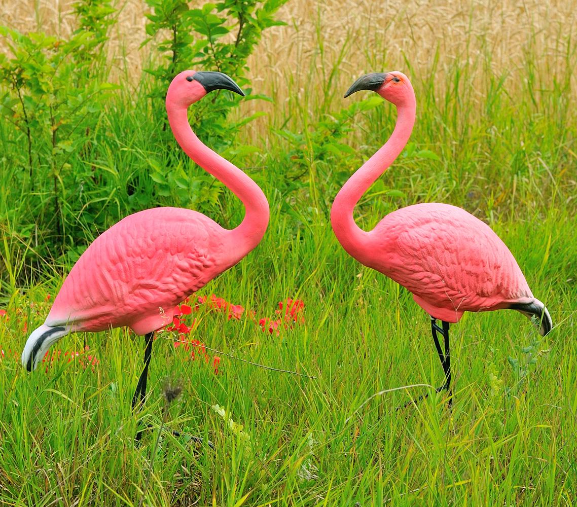 Садова фігура Фламінго на металевих лапах 2 шт. (25b03e23)