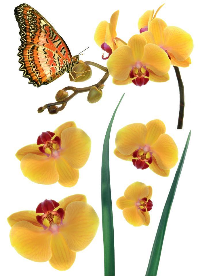 Декоративная наклейка Арт-Декор 16 Желтые орхидеи 50х70 см (2000000535555)