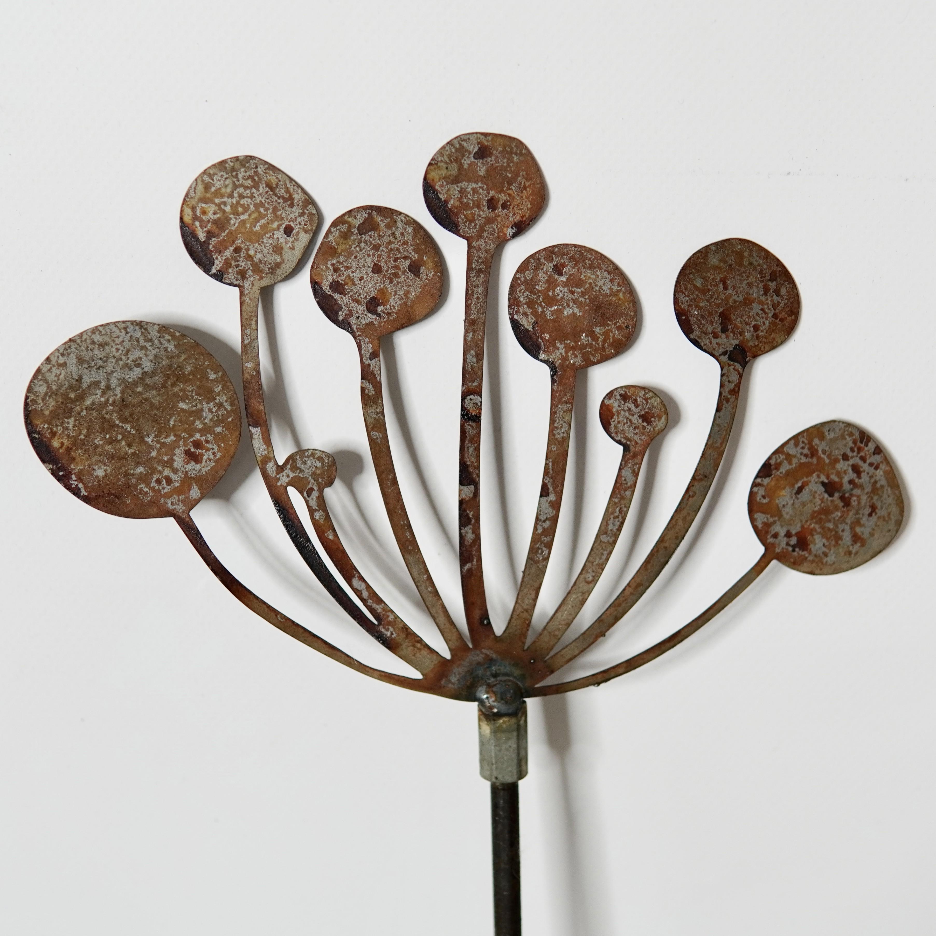 Садовая фигура Ржавый металлический колосок-фенхель для вашего двора/клумбы/сада/террасы (DCR035)