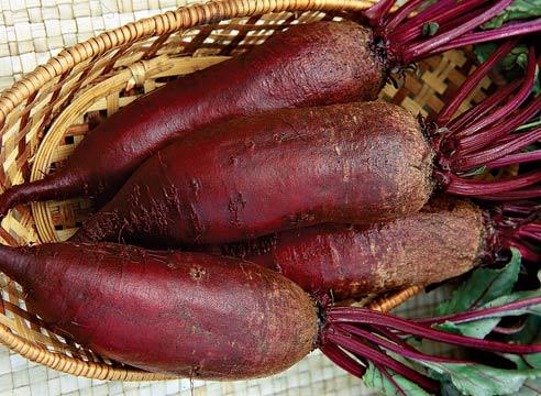 Семена Свекла Florium Цилиндра столовая (4167) - фото 3