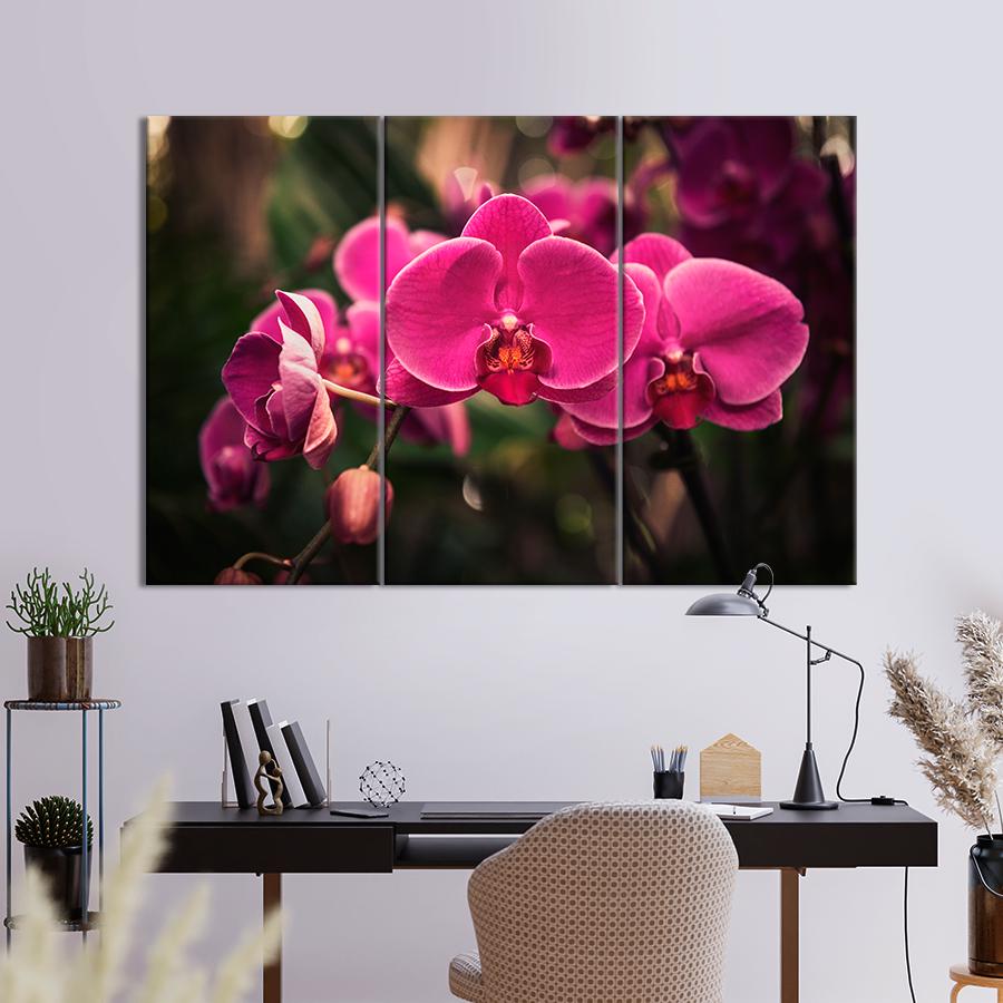 Картина цветы и растения Розовая декоративная орхидея 78x48 см (A1059-3)