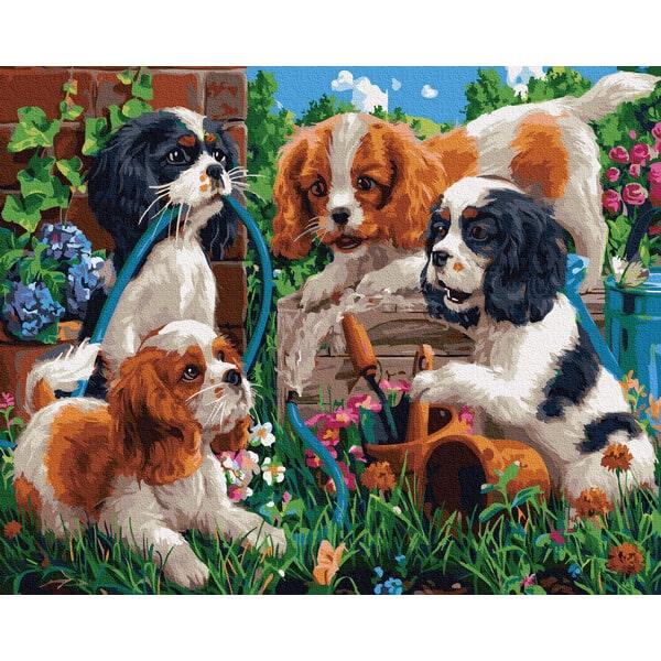 Картина по номерам Brushme GX35651 Собачки-друзья 40х50 см (1397642828)