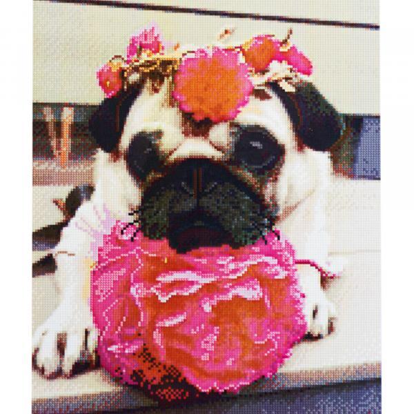 Алмазная картина Идейка Мопс с цветами 40х50 см (FA40811-mt)