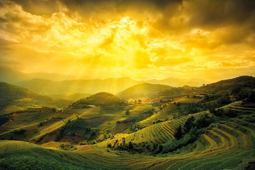 Постер плакат Рисовые Поля Йен Бай/Rice Fields Of Yen Bai 61x91,5 см
