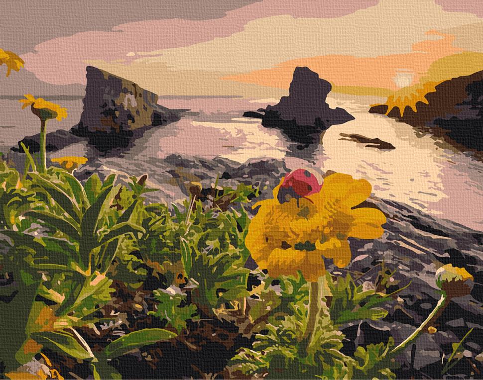 Картина по номерам Art Craft "Путешествуем по солнцем" 40x50 см (10514-AC)