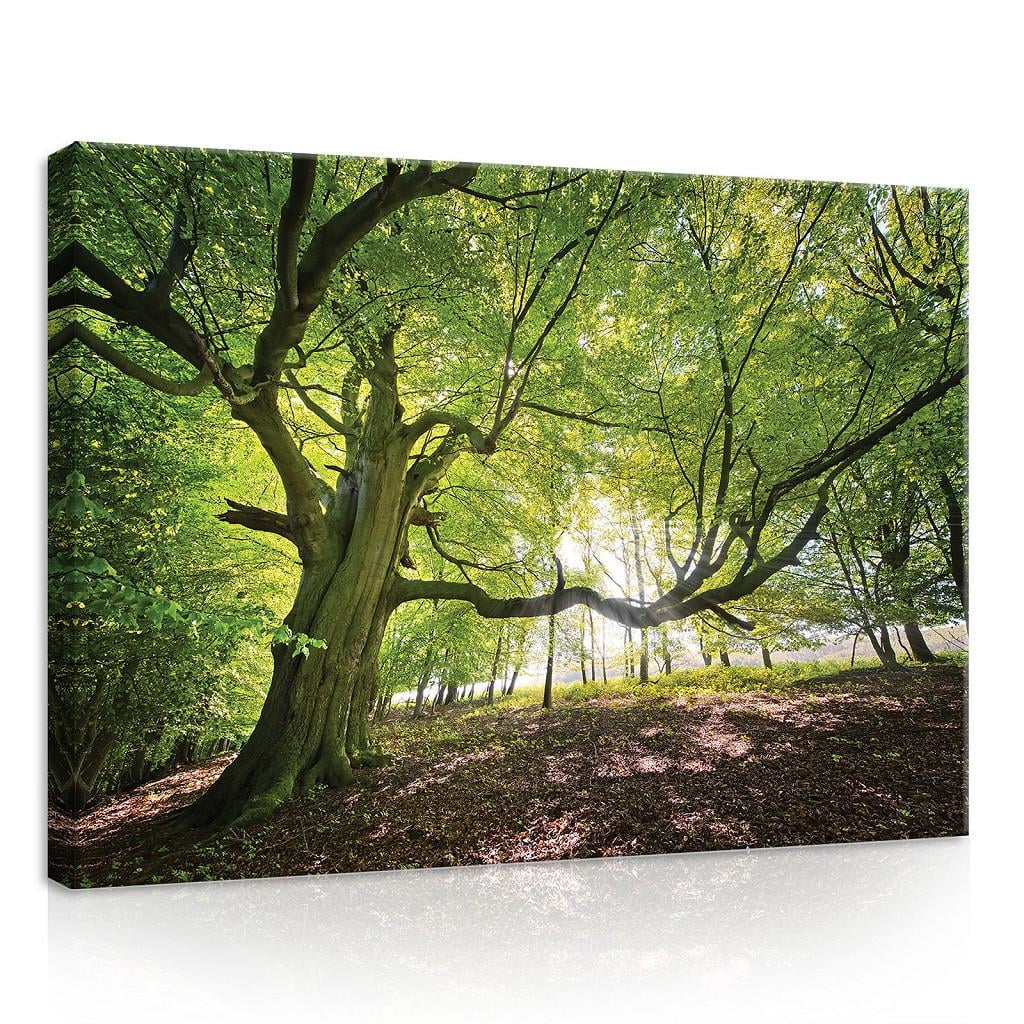 Картина на холсте 70x50 см Дерево в лесу (PP11799O7)