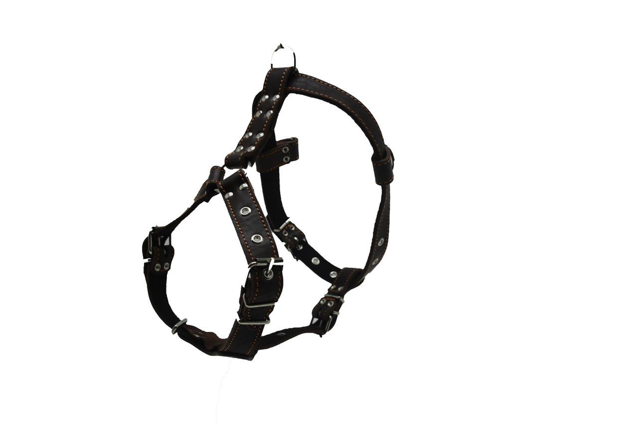 Шлейка для среднеазиатской овчарки Коричневый