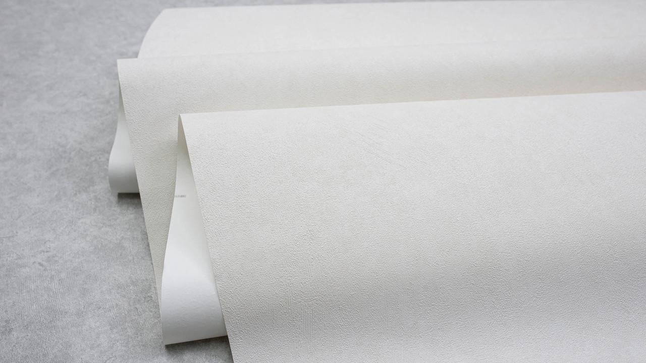 Шпалери флізелінові Sintra Liana 250716 Фон вініл гарячого тиснення 1,06х10,05 м Бежевий