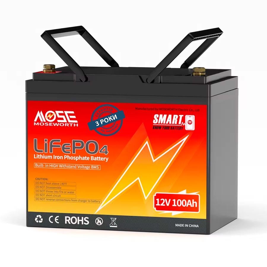 Аккумулятор литий-железо-фосфатный MOSEWORTH LiFePO4 12V 100 Ah Smart 1280Wh BMS 100A