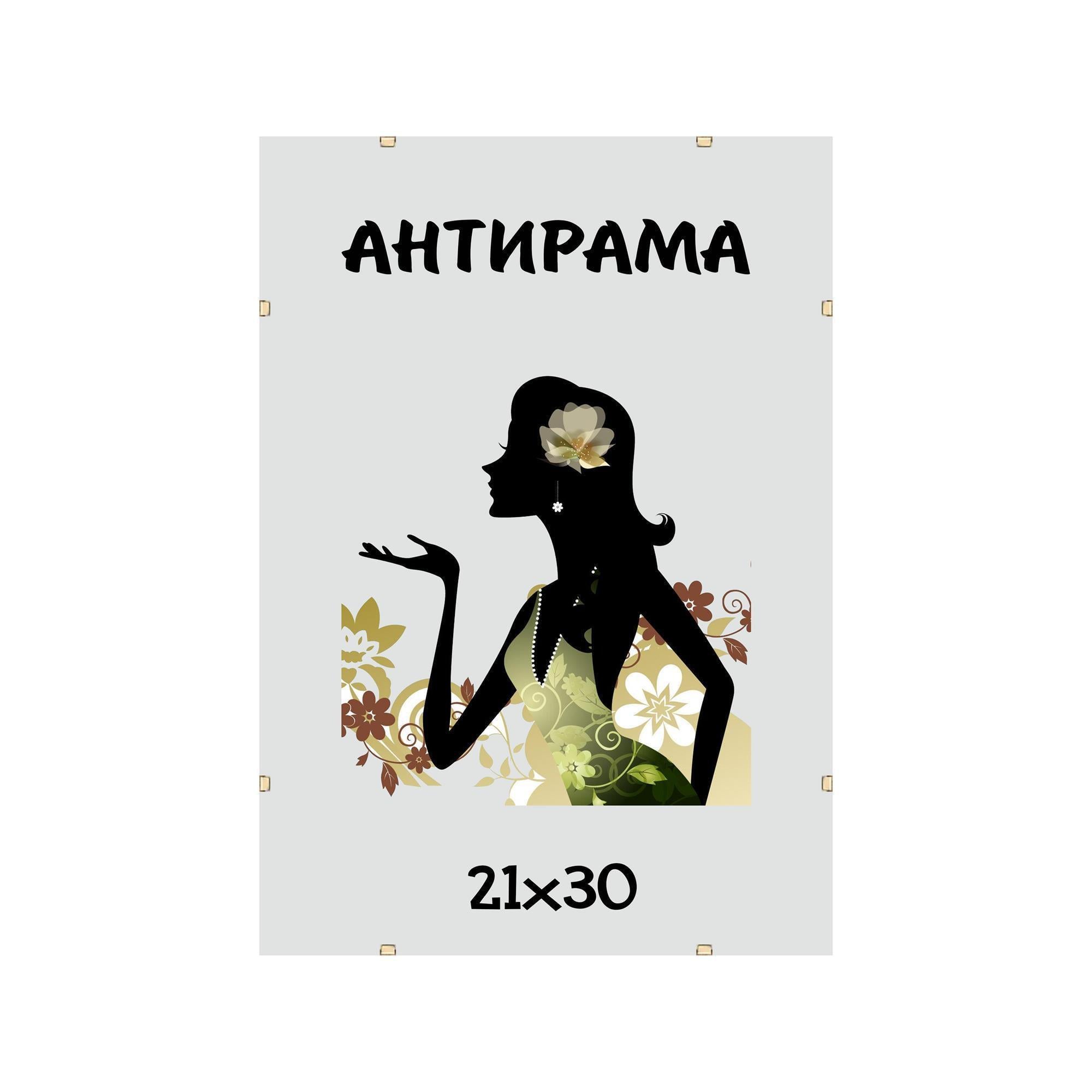 Антирама антиблікова А4 21х30 см (2129)