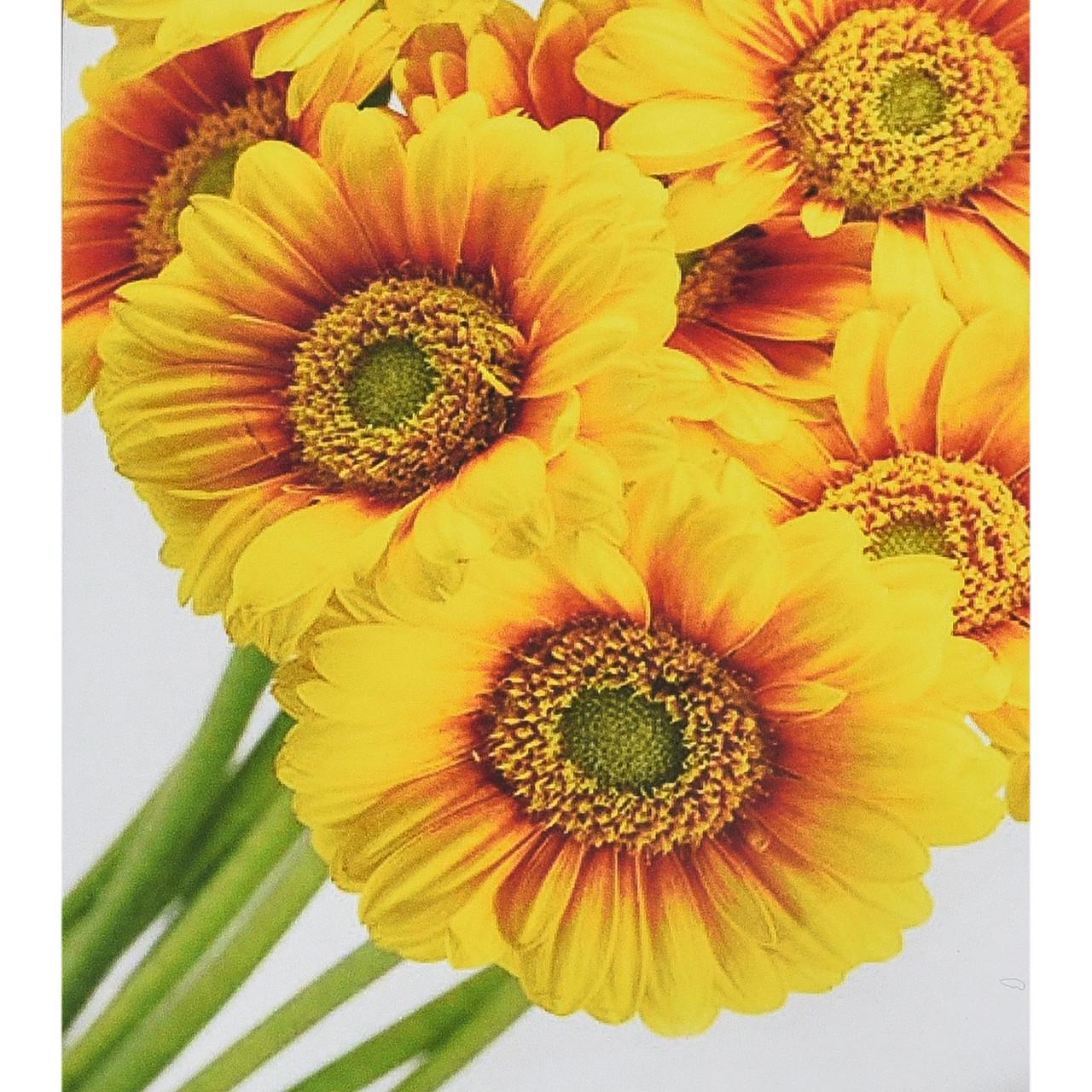 Алмазная мозаика Strateg Солнечные цветы 30х40 см (HEG88145)