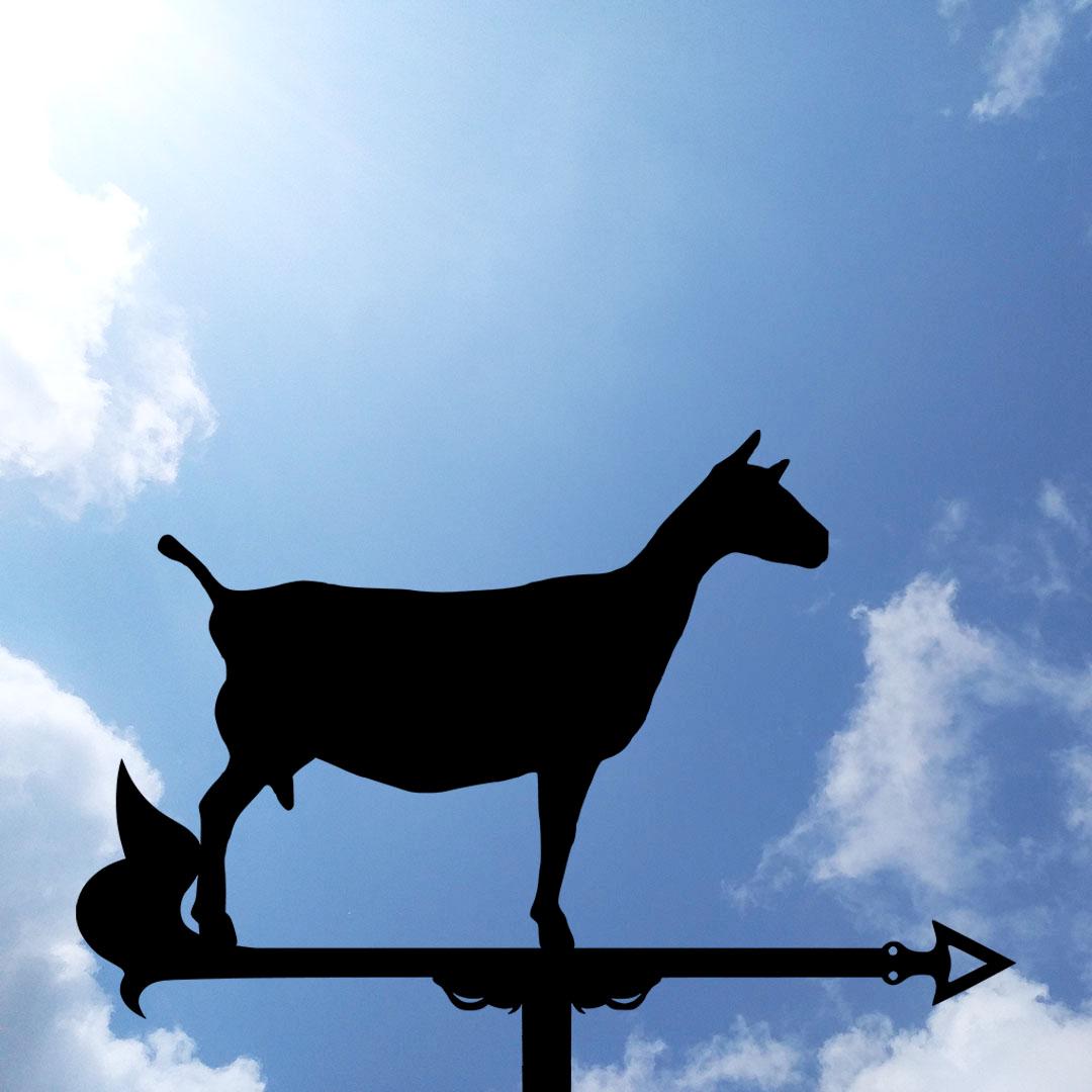 Флюгер на будинок Коза №2 (27684942)