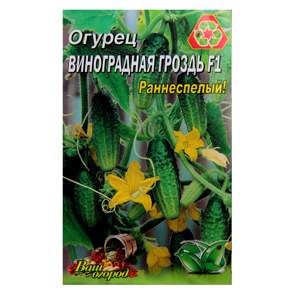 Семена огурца Виноградная гроздь F1 ранний 3 г (22751) Семена огурца Виноградная гроздь F1 ранний 3 г (22751)