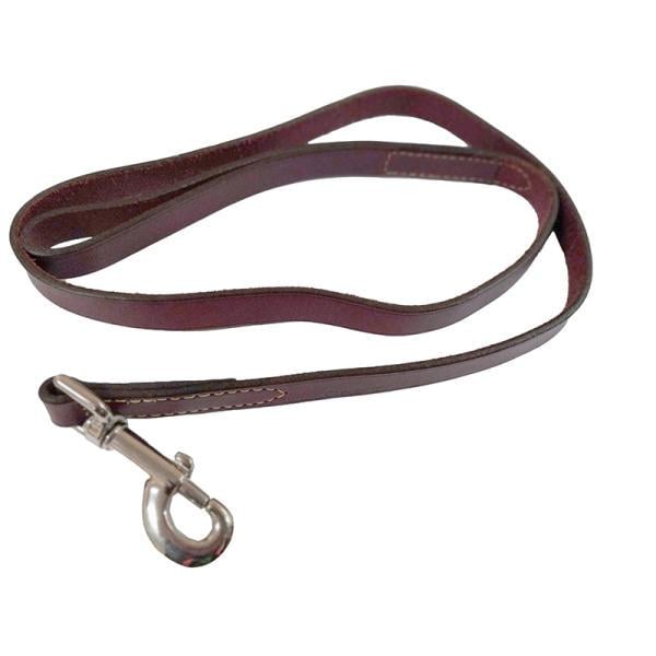 Повідець для собак Coastal Circle-T Dog Leash 2 см х 1,2 м