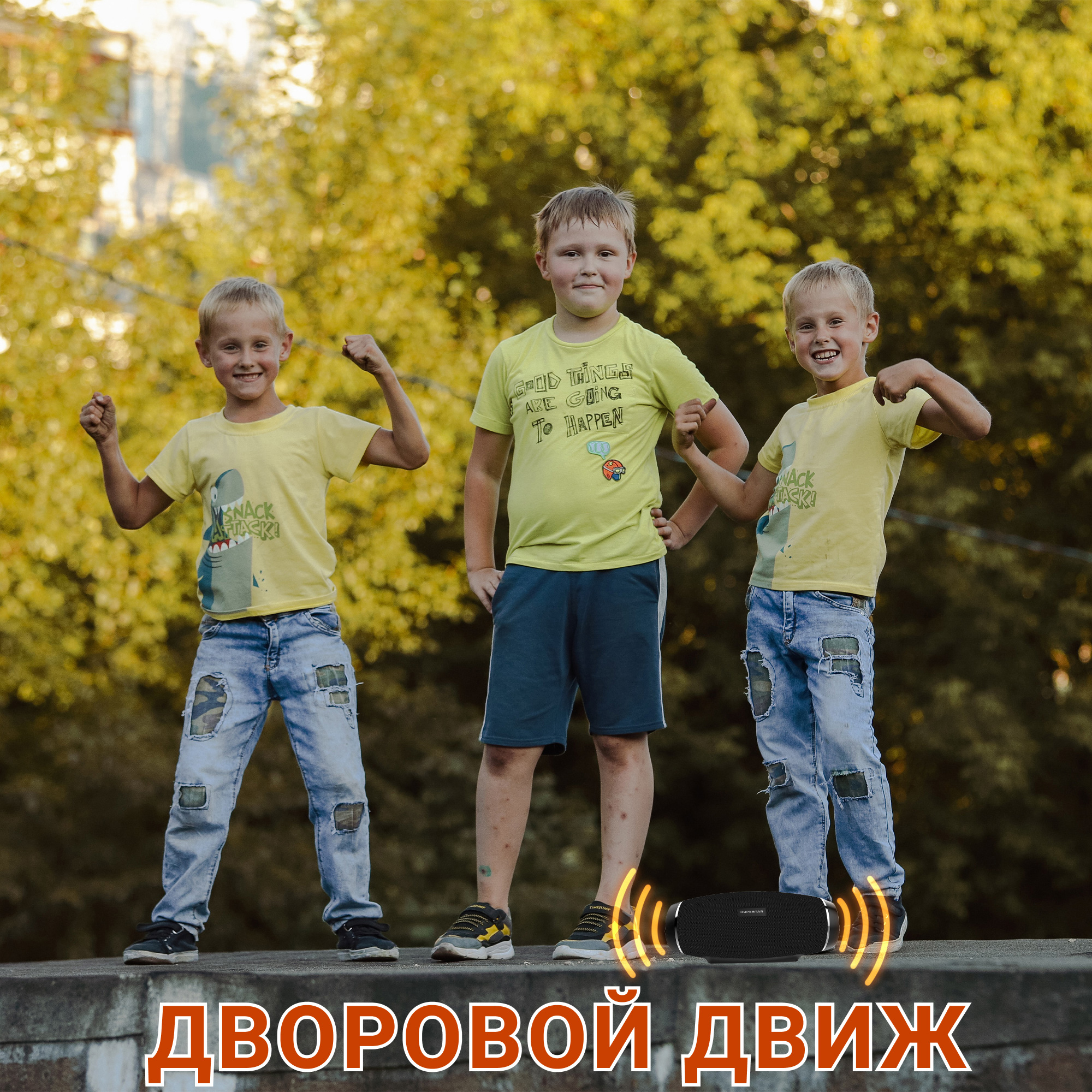 Акустическая система Hopestar PowerBank H27 Черный - фото 13 Акустическая система Hopestar PowerBank H27 Черный - фото 13