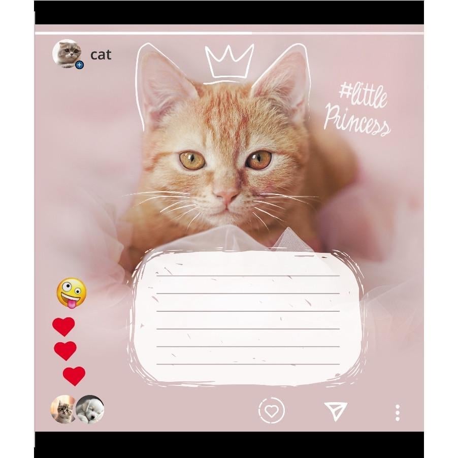 Шкільний зошит Кішка 024-550351K-2 в клітинку 24 аркуші (RLT55283)