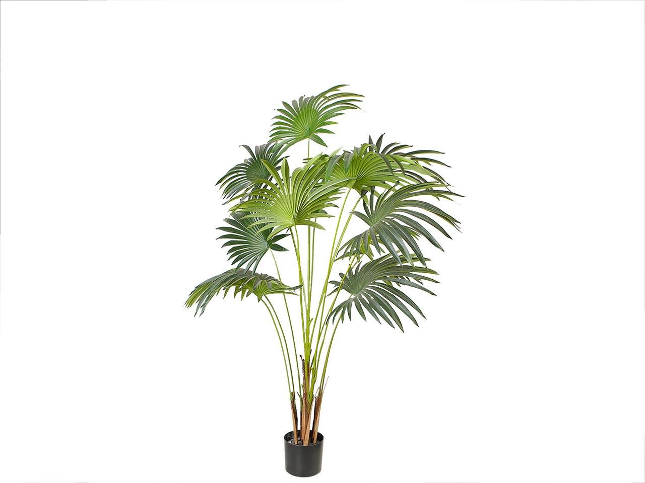 Искусственное растение Engard Fan Palm 150 см (DW-28) - фото 2