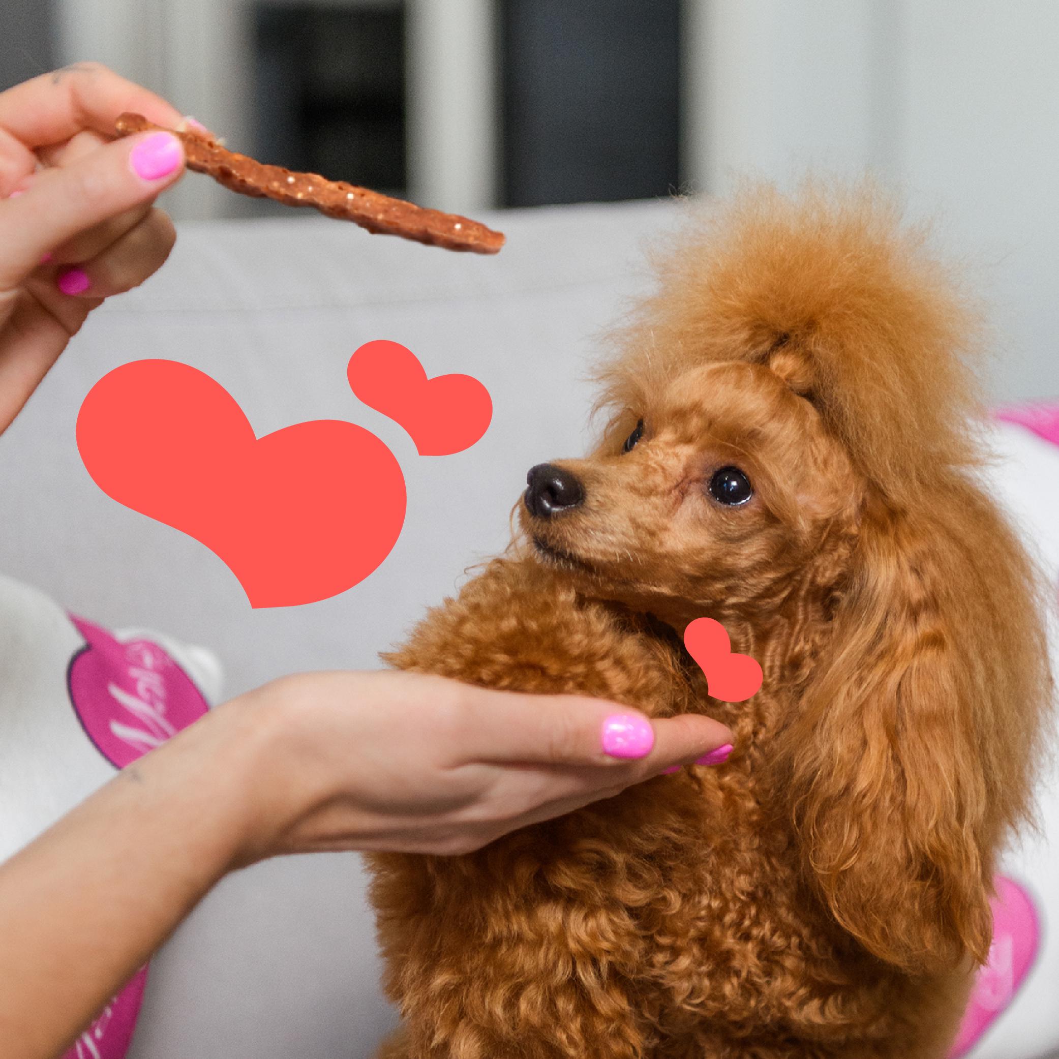 Ласощі для собак Mavsy Refined jerky CARPACCIO OF RABBIT AND ROAST DUCK IN CRANBERRY SAUCE від 3-х міс. 100 г (24628254) - фото 5 Ласощі для собак Mavsy Refined jerky CARPACCIO OF RABBIT AND ROAST DUCK IN CRANBERRY SAUCE від 3-х міс. 100 г (24628254) - фото 5