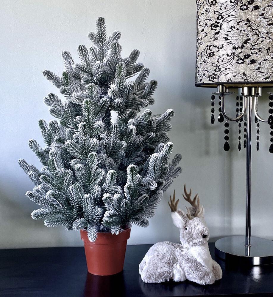 Ялинка лита Traditional в горщику 70 см Засніжена (215N/70/GS)