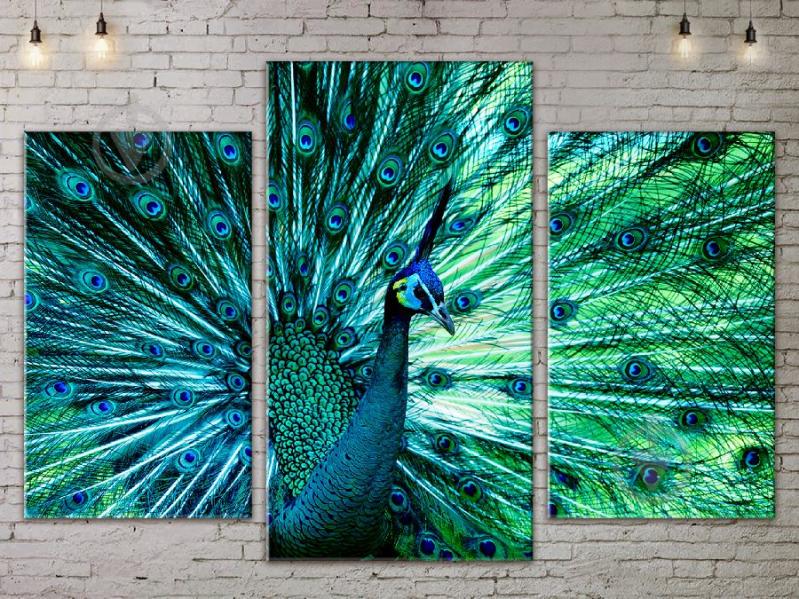 Модульная картина Павлин ADJ0046 размер 70 х 105 см