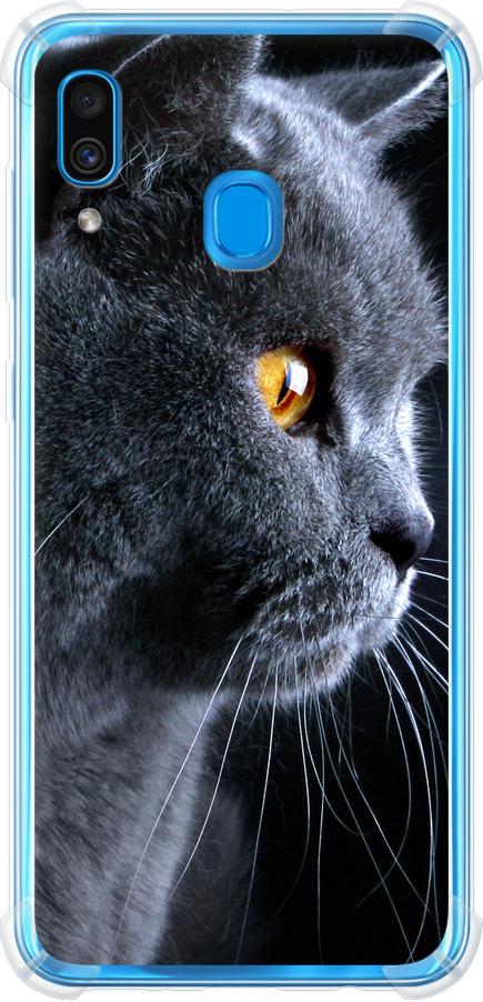Чехол на Samsung Galaxy A30 2019 A305F Красивый кот (3038sp-1670-42517)