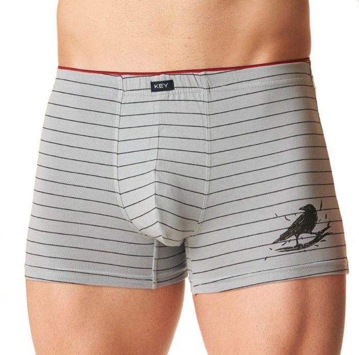 Трусы шорти мужские KEY MXH 400 SZ XL 1 шт. Серый в полоску (5904765679523) Трусы шорти мужские KEY MXH 400 SZ XL 1 шт. Серый в полоску (5904765679523)