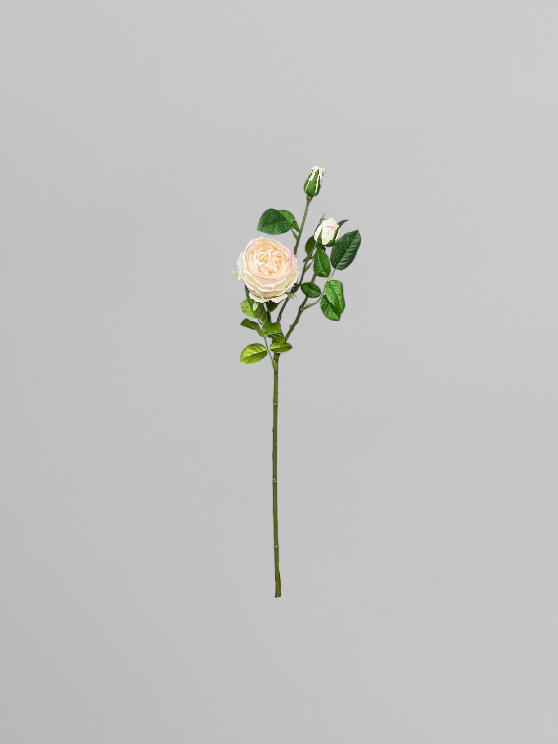 Искусственная роза Дэвида Остина ветка на 3 соцветия 72 см Персиковый (К02035) - фото 2