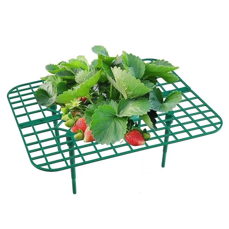 Опора-подставка для клубники Lesko 202403 (25714255)