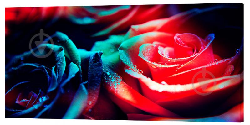 Картина на холсте Декор Карпаты Цветы 50х100 см (c729)