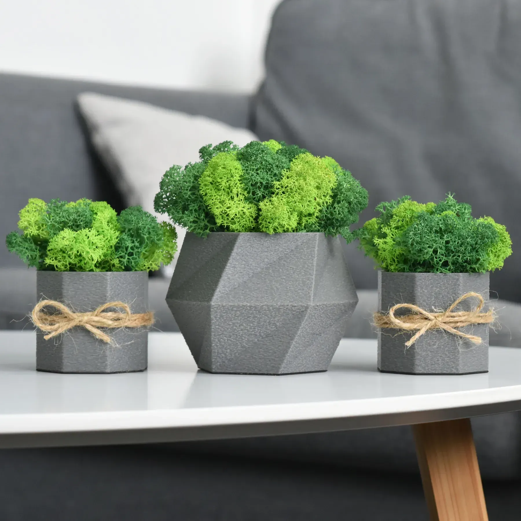 Комплект кашпо со стабилизированным мхом Ягель 3 шт. Серый/Зеленый/Салатовый (NA-S-1)