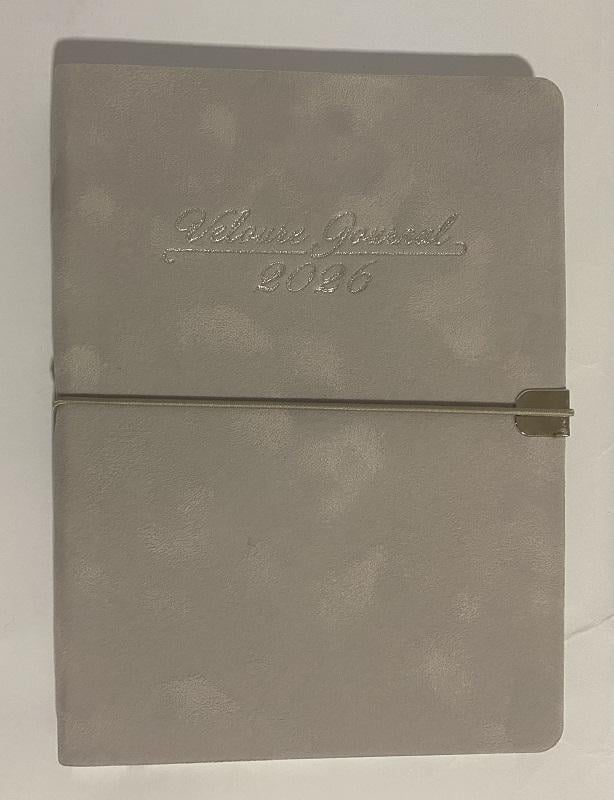 Дневник датированный на 2026 р. VELOUR A5 искусственная кожа Светло-серый (BM.2134-20)