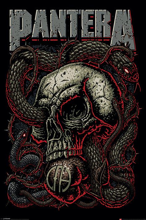 Постер плакат Pantera Snake Eye 61x91,5 см