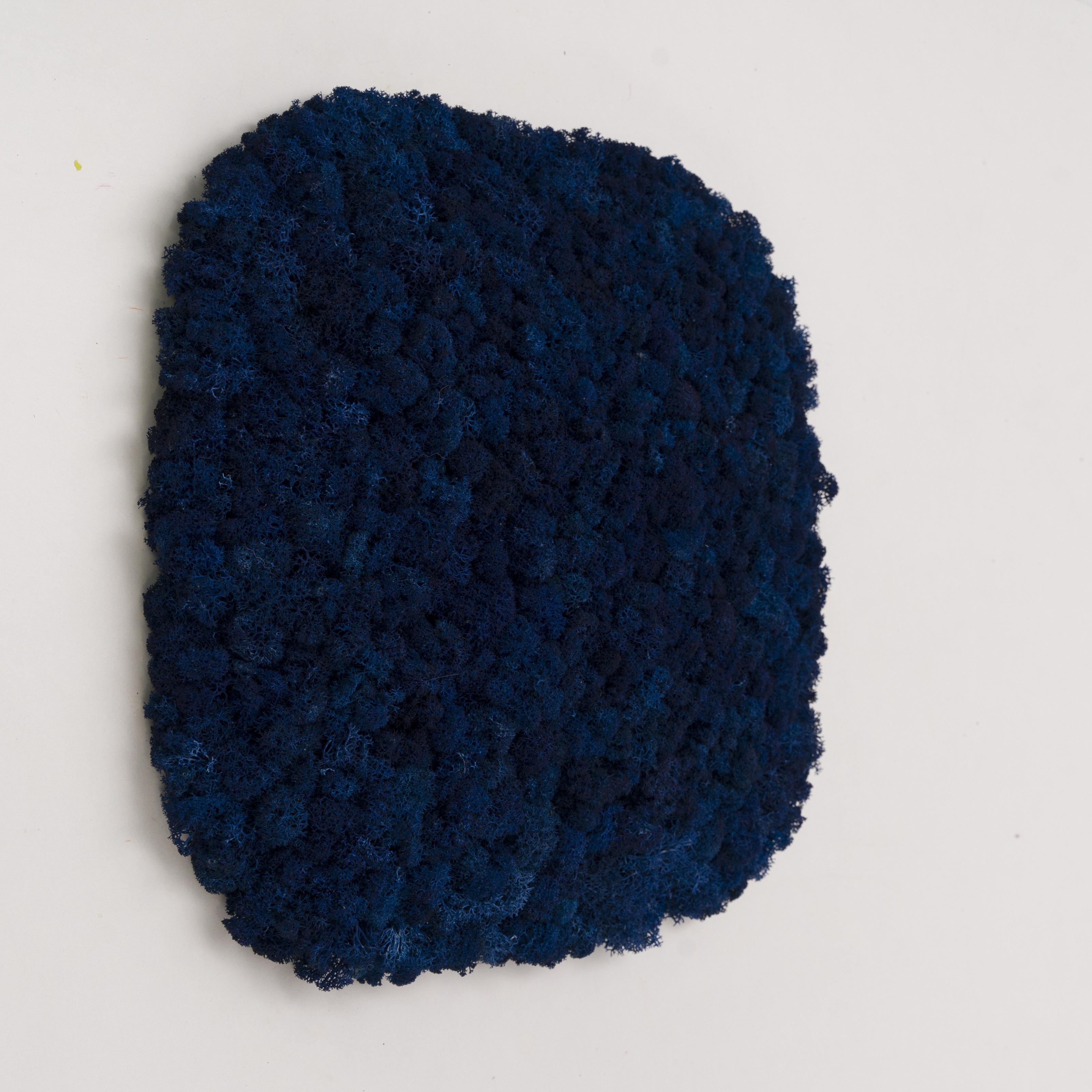 Декоративне панно з моху Organic Design Cупереліпсна панель 33 см Blue (704-12)