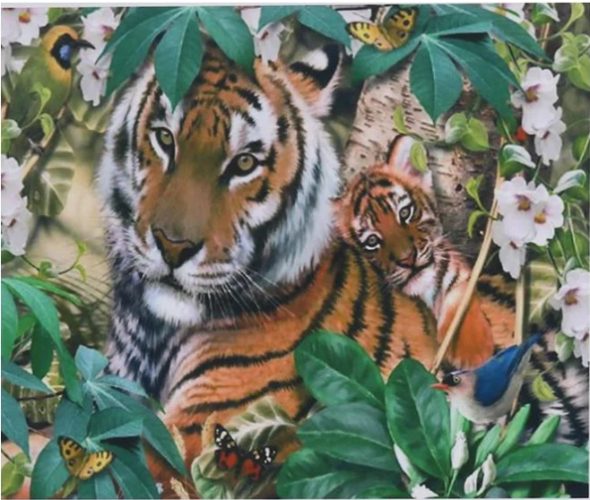 Алмазна мозаїка за номерами Josef Otten Тигри 71182_BGLE 40x50 см (MTT-191200)