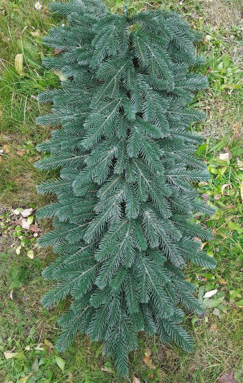 Хвойна гірлянда лита SGX Елітна 1 м Зелений (1277089388) - фото 6 Хвойна гірлянда лита SGX Елітна 1 м Зелений (1277089388) - фото 6