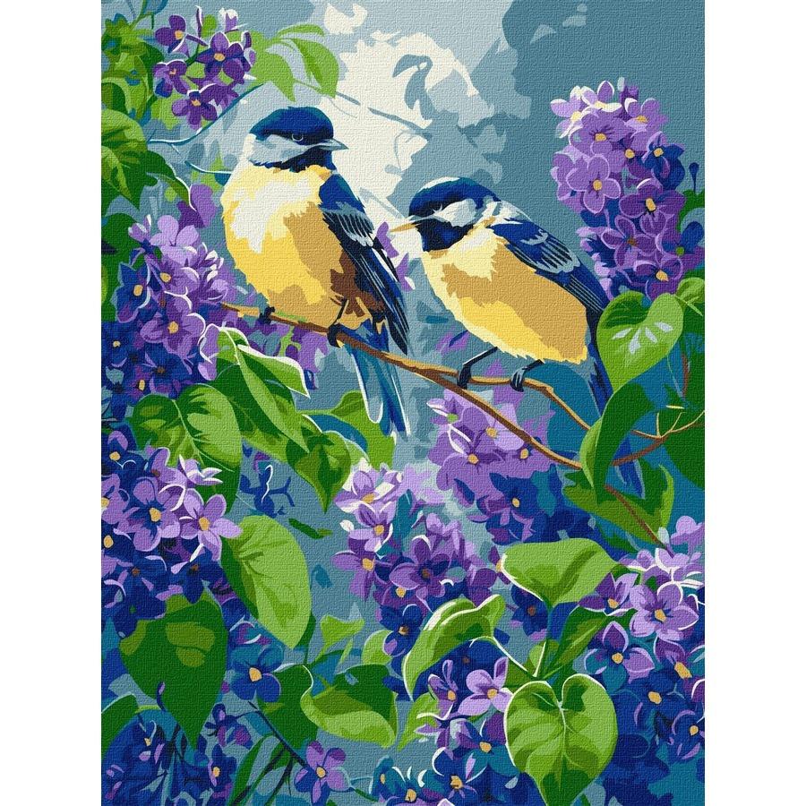 Картина по номерам Ideyka Весенний дуэт 30x40 см (KHO6654)